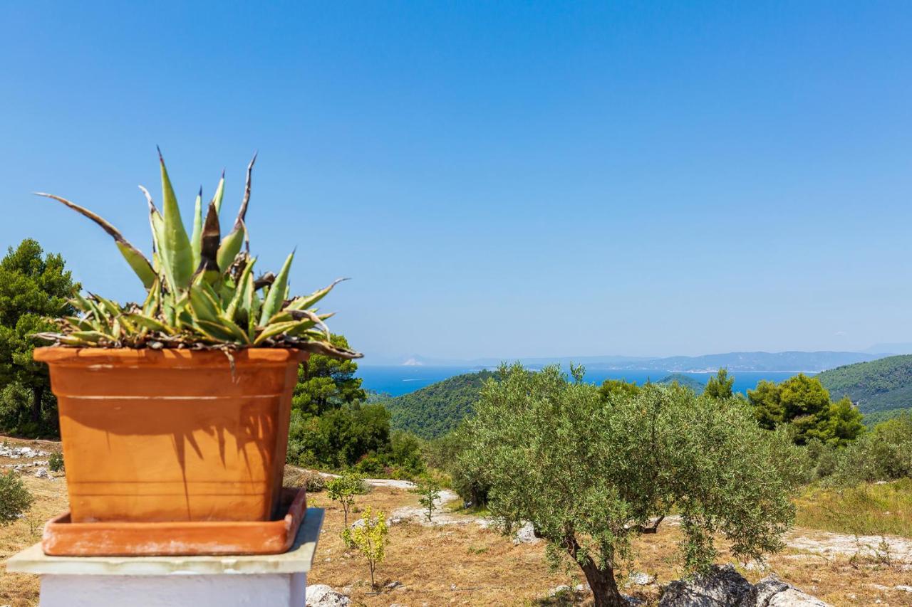 Villa Jasmine Bandar Skopelos Luaran gambar